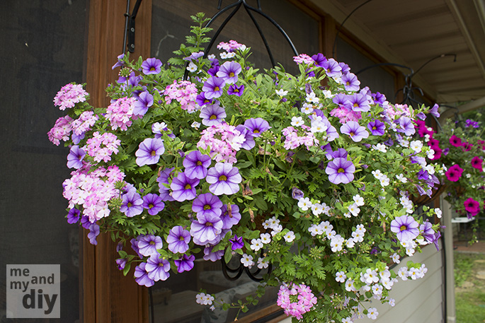 how to install a micro irrigation system to keep your hanging baskets and container, container gardening, gardening, There s no reason your hanging baskets can t be lush and beautiful all summer long even while you re on vacation