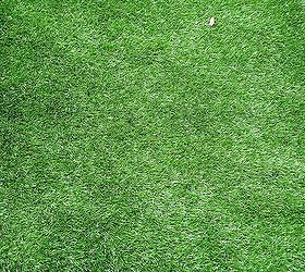 Dog Artificial Grass