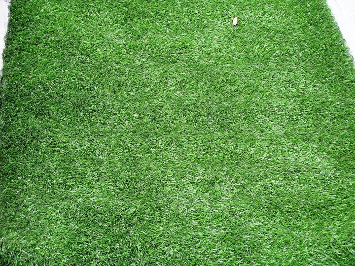 dog artificial grass, landscape, Close up new fake grass