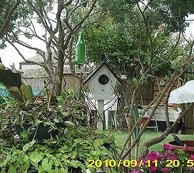 birdhouses, outdoor living, repurposing upcycling