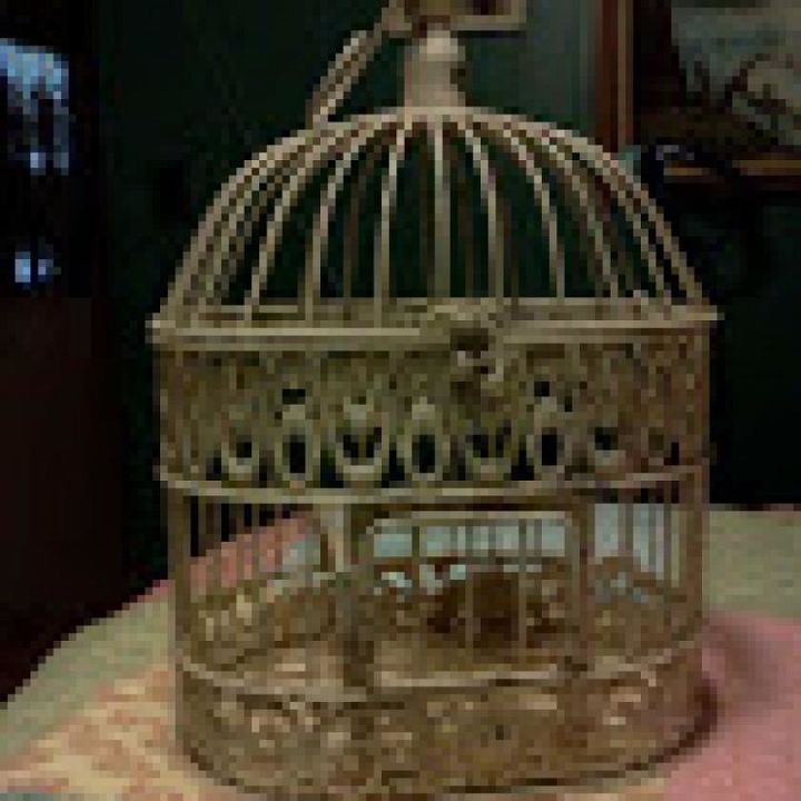 birdcages, home decor