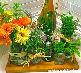 jar love, crafts, flowers, mason jars, Herb keepers those blooms are Calendula BTW edible petals
