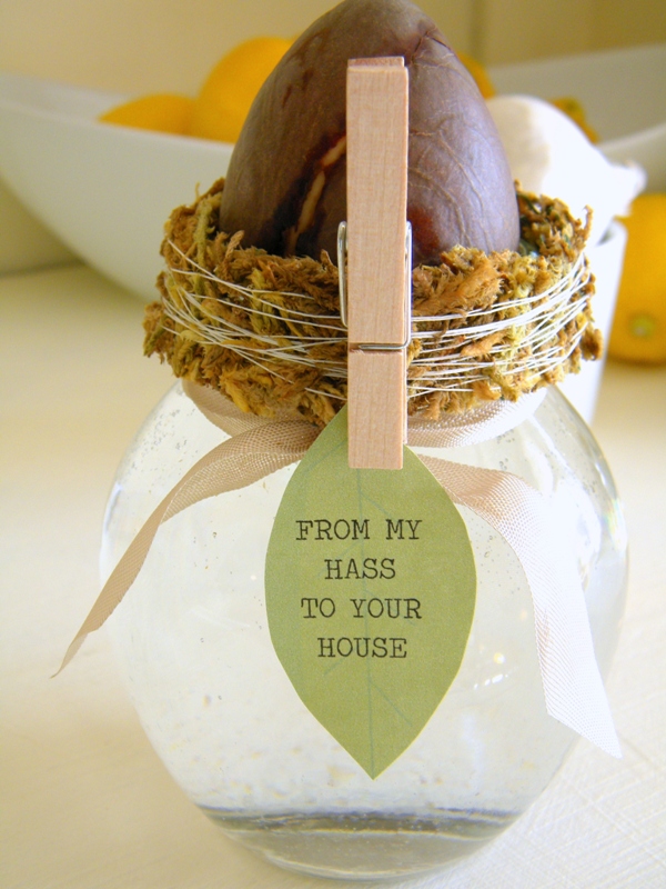 a simple avocado seed gift, crafts, Embellish a jar with sheet moss ribbon and a tag instead of the usual toothpicks