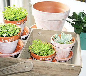Home Gardening How to Achieve the Look of Aged Terra Cotta Pots