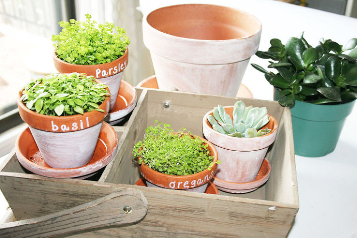 home gardening how to achieve the look of aged terra cotta pots, crafts, gardening, home decor, How to achieve the look of Aged Terra Cotta Pots with paint