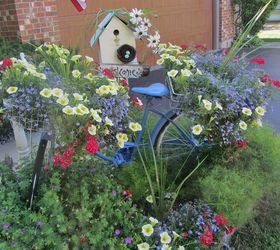 vintage summer garden, flowers, gardening, outdoor living, repurposing upcycling, This is my old vintage bike I painted blue and then added sun loving flowers to the vintage baskets on the bike This is an easy and sweet way to use something vintage for a focal point in the garden