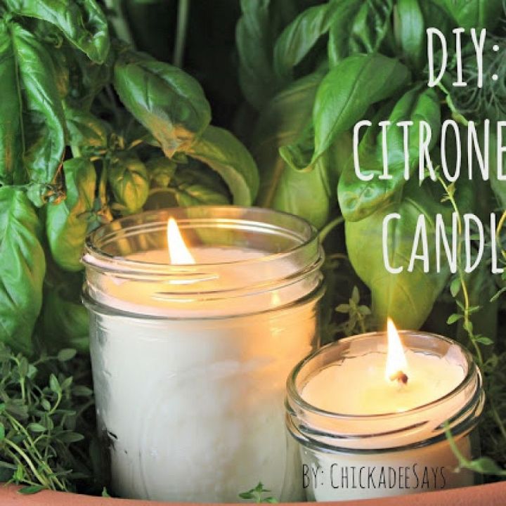 diy citronella candles, crafts