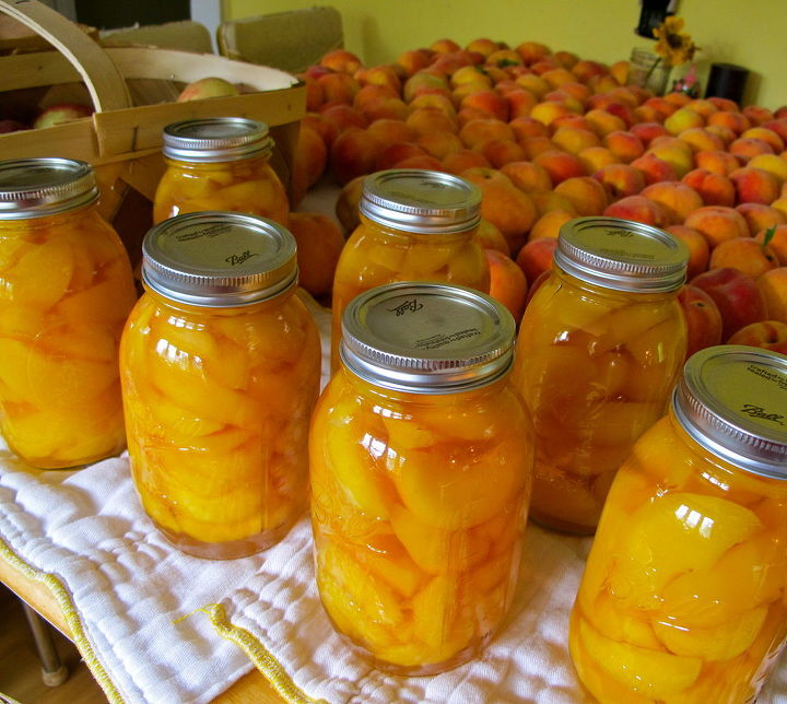 canning peaches, homesteading, Fill the jars and process in your boiling bath canner