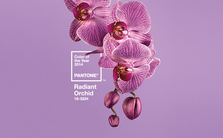 radiant orchid blooms as pantone s color of the year 2014, home decor, painted furniture