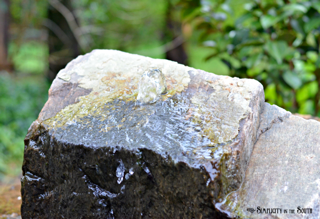 a bubbling rock water feature and mini yard tour, gardening, landscape, ponds water features