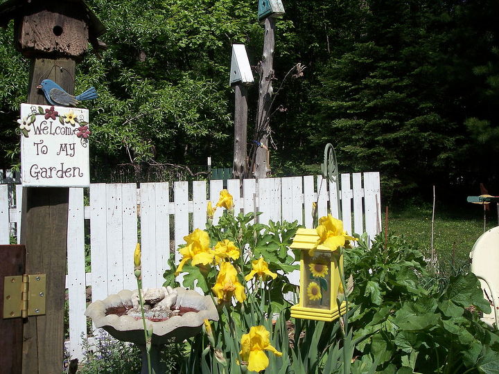 the garden entrance holy hocks yellow iris herb garden, gardening, The outside entrance to the vegetable garden