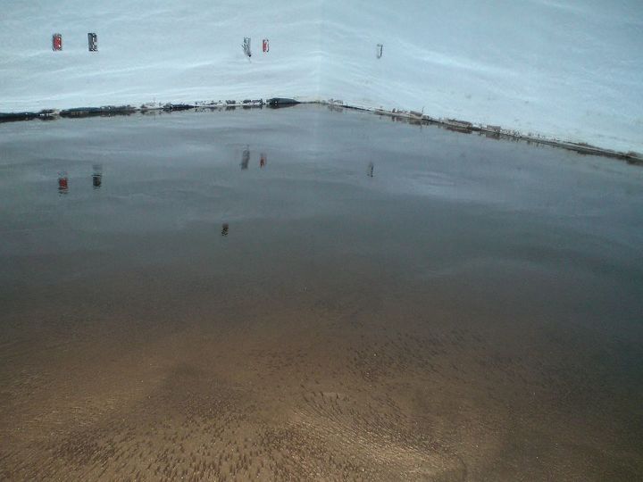 featured photos, The effect of tadpoles swimming under the surface was created within the layers of the flooring