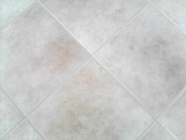 sealer to get tile floor and wall grout clean, bathroom ideas, home maintenance repairs, tile flooring, tiling, Now look at this gray tile floor after Grout Shield