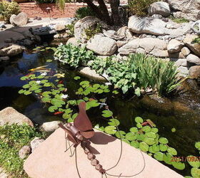hechtman, landscape, outdoor living, ponds water features