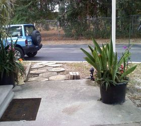 q any suggestions for my yard, gardening, landscape, outdoor living