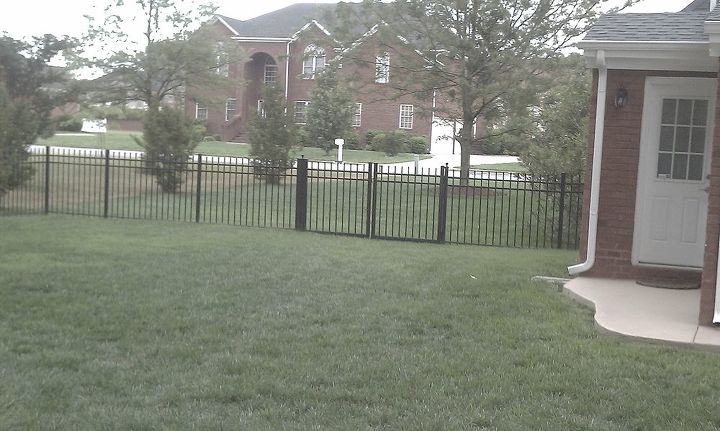 how fast does pampas grass beach grass grow, From backyard view to front People walking by can see you in the backyard and pool