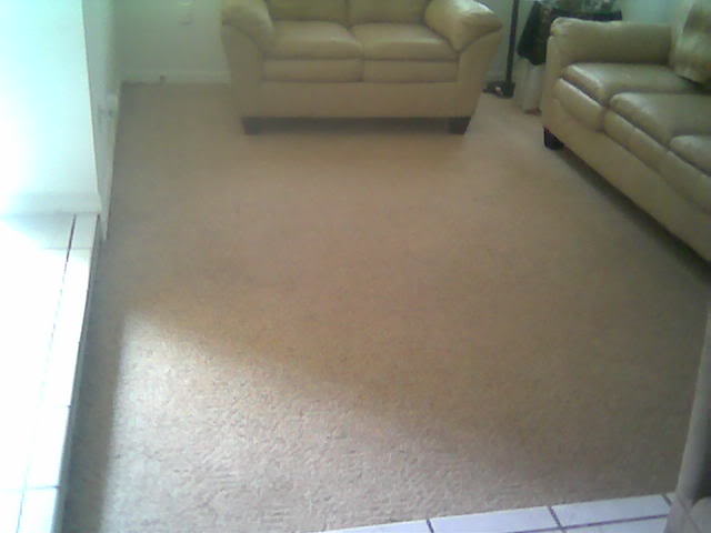 carpet cleaning, AFTER 1