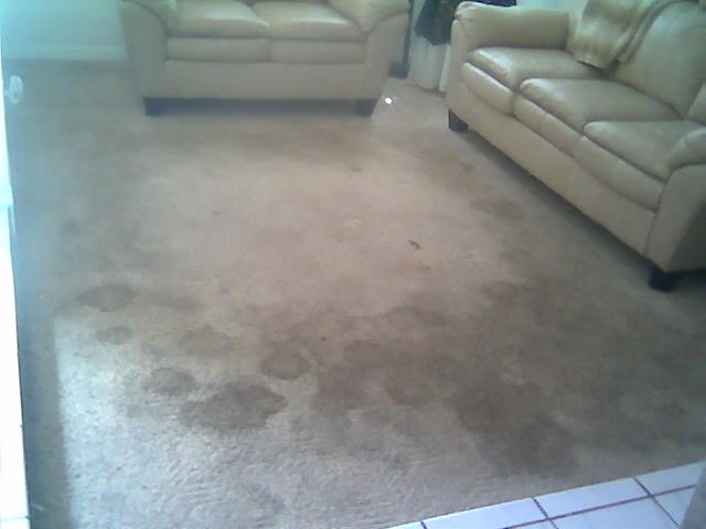 carpet cleaning, BEFORE 1