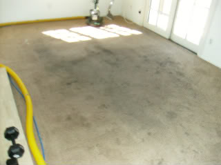 carpet cleaning, BEFORE 2