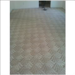 carpet cleaning, AFTER 3
