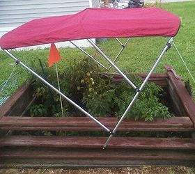 my idea for a lil shade the top is adjustable and folds into it self nicely the top, gardening, pest control