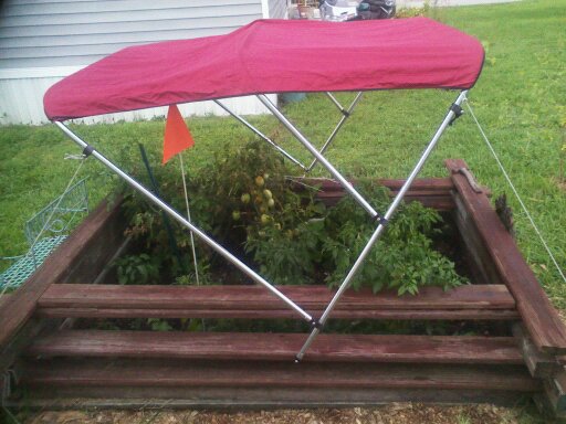 my idea for a lil shade the top is adjustable and folds into it self nicely the top, gardening, pest control