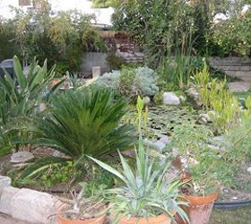 greenhouse, gardening, landscape, outdoor living, Mature