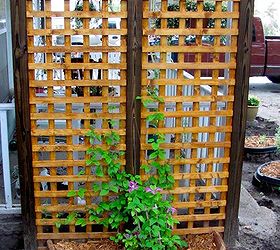 sturdy trellis, gardening, Unfortunately a violet hail storm quickly decimated this clematis and though it has come back this year it is just two sad little vines I am hoping that it is photosynthesizing like a maniac and building itself up for next year