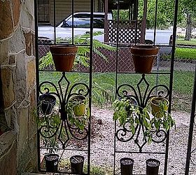 gazebo frame re purposed into garden trellises, gardening, 2 Trellises hanging from the West side of front porch pots wired to the trellis and planted with a mix of Morning Glorys and various vines
