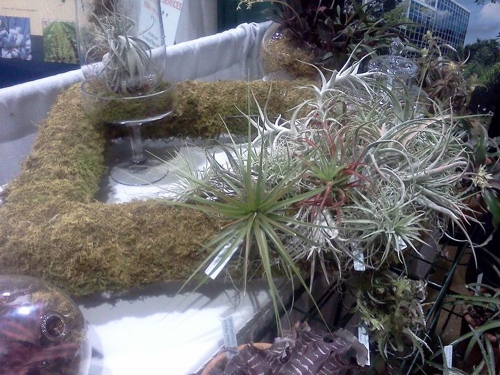 ggia wintergreen tradeshow, gardening, Botanical gardens display I live the living wreath potential here