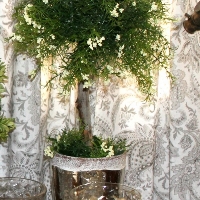 how to create indoor boxwood and juniper topiaries, crafts, gardening, home decor, Juniper Topiary To see tutorial on how to make your own visithttp www onemoretimeevents com 2014 01 indoor boxwood buxus and juniper html