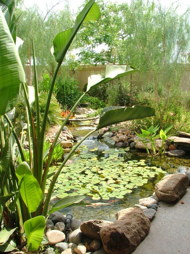 our work, flowers, gardening, outdoor living, pets animals, ponds water features, Desert can be lush