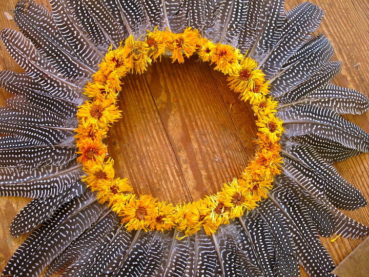 cmo hacer una corona de plumas de guinea, Corona de plumas de guinea hecha con materiales de manualidades que ten a a mano y plumas de mi granja
