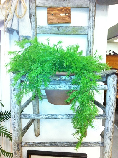 new farmhouse decor, home decor, This old chair turned planter was so cute