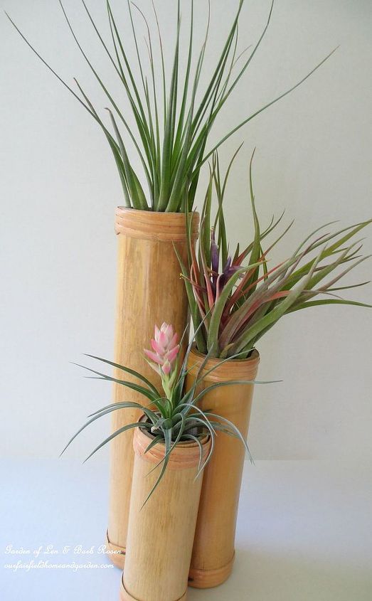 get creative with air plants, gardening, For a more modern look use bamboo