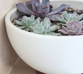 how to make a modern indoor echeveria planter win the planter, flowers, gardening, succulents, And display This Modernica planter can be set atop the Brazilian hardwood plinth