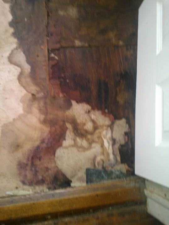 redoing bathroom floor and walls, bathroom ideas, remodeling, all rotted underneath