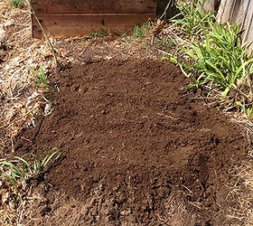 how to plant garlic, gardening, homesteading, Prepare your soil I chose a spot in the backyard between the garden boxes and the birdbath pulled all the weeds and mixed in a healthy pile of compost