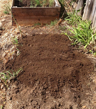 how to plant garlic, gardening, homesteading, Prepare your soil I chose a spot in the backyard between the garden boxes and the birdbath pulled all the weeds and mixed in a healthy pile of compost