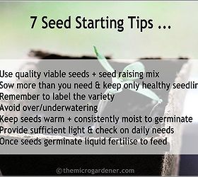 seed starting guide quick tips for starting seeds successfully, container gardening, gardening