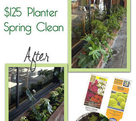 simple spring planters what s the verdict, gardening