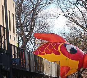 id needed re characters in entertainment, seasonal holiday d cor, thanksgiving decorations, An unidentified fish marches swims out of water in Macy s 2013 Thanksgiving Parade View One at CPW