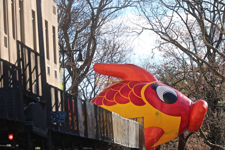 id needed re characters in entertainment, seasonal holiday d cor, thanksgiving decorations, An unidentified fish marches swims out of water in Macy s 2013 Thanksgiving Parade View One at CPW