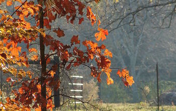 More fall in rural north Alabama