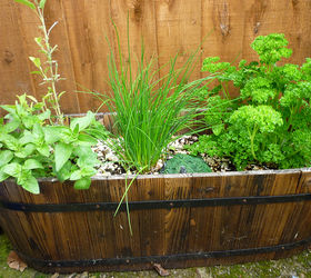 getting started with container gardening, container gardening, gardening