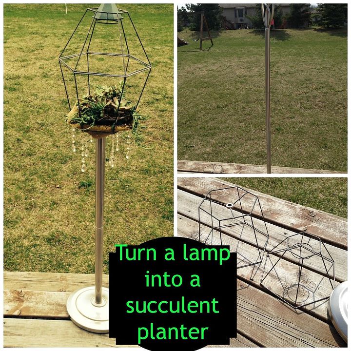 re purposed lamp parts, electrical, flowers, gardening, repurposing upcycling, succulents