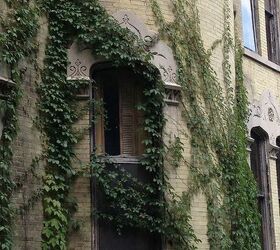 french chateau restoration project, architecture, Ivy clad brick exterior love it