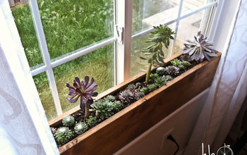 How to Make a Succulent Window Box