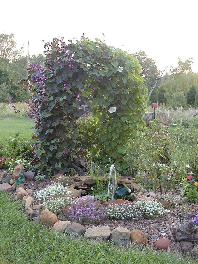 tjndb hl habitat gardens, flowers, gardening, outdoor living, Same back yard garden with Hyacinth bean and moonflower covering the arch Added a fountain and waterfall