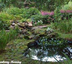 making an inexpensive garden pond, outdoor living, perennial, ponds water features, Finished garden pond The pond is kinda kidney shaped and it surrounded by old brick we got from a school that was being torn down